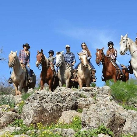 Hotel Kibbutz Ortal Tourism Zewnętrze zdjęcie