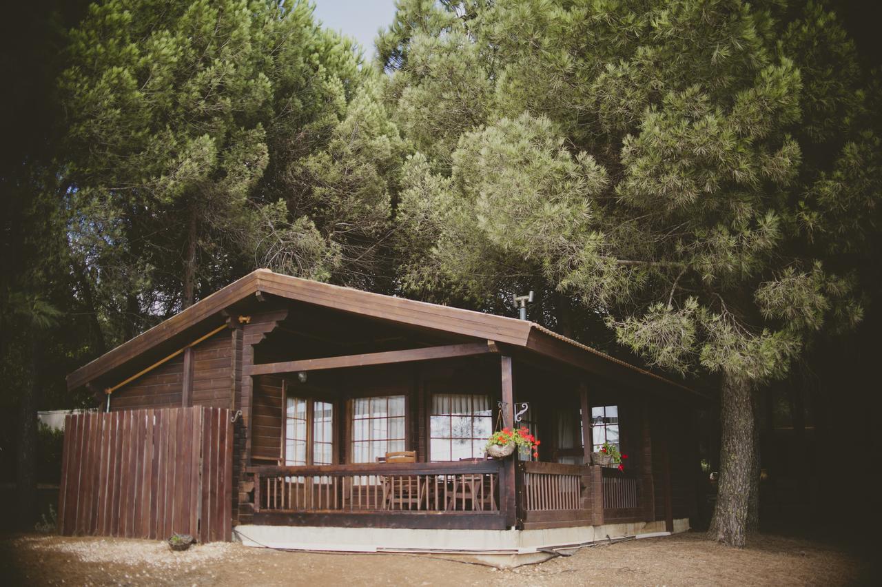 Hotel Kibbutz Ortal Tourism Zewnętrze zdjęcie