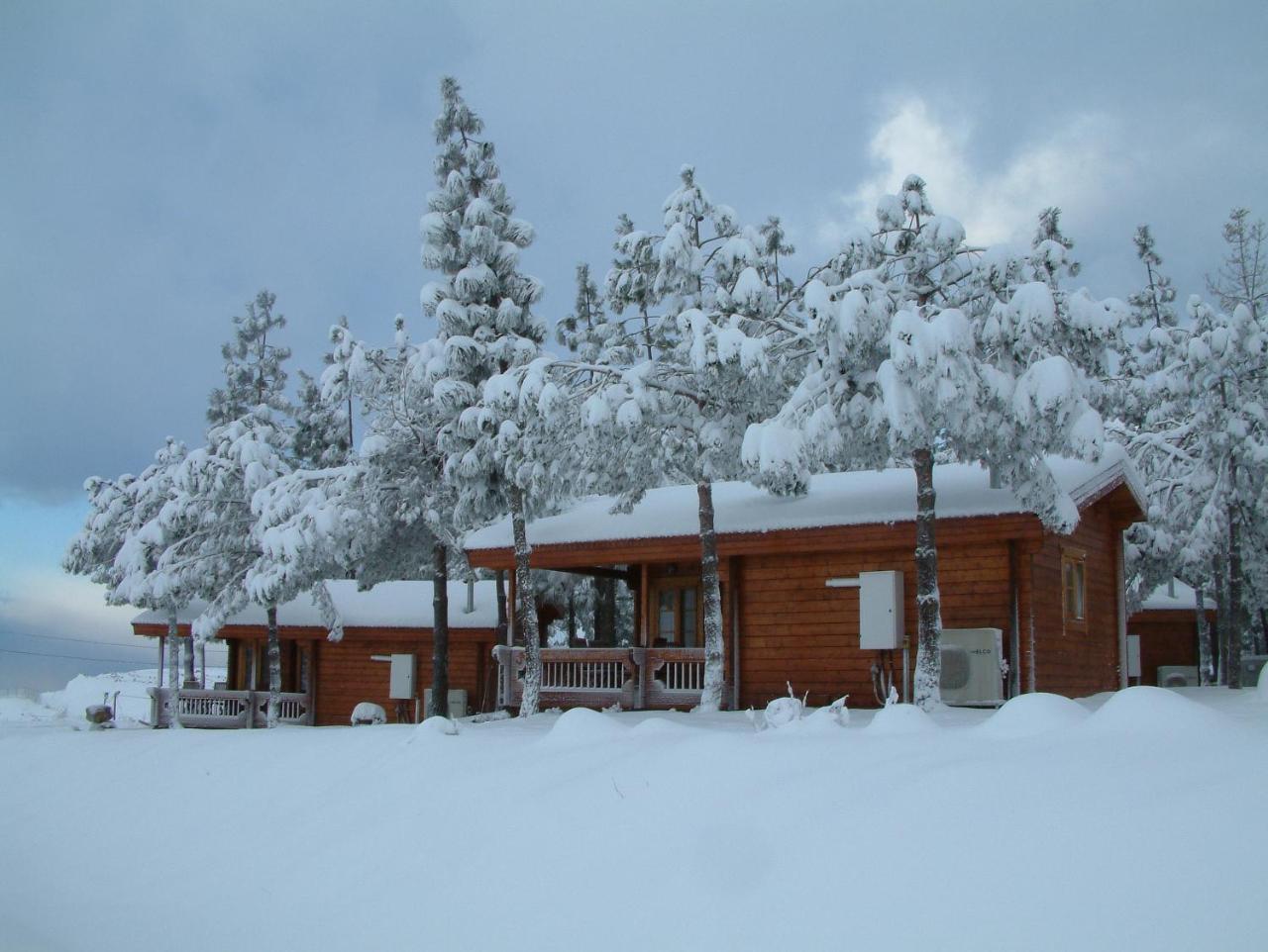 Hotel Kibbutz Ortal Tourism Zewnętrze zdjęcie