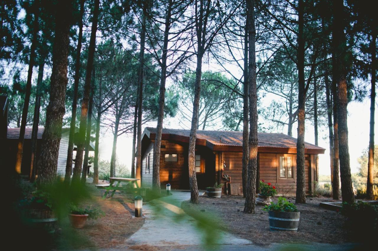 Hotel Kibbutz Ortal Tourism Zewnętrze zdjęcie